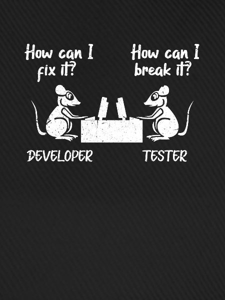 Softwareentwickler