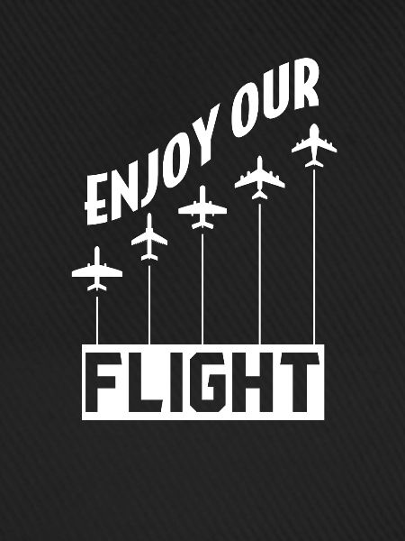 Airline Pilot Flugzeug