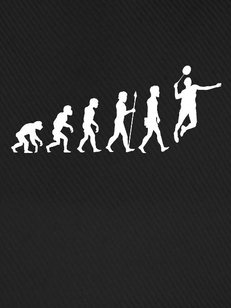 badminton federball sport evolution