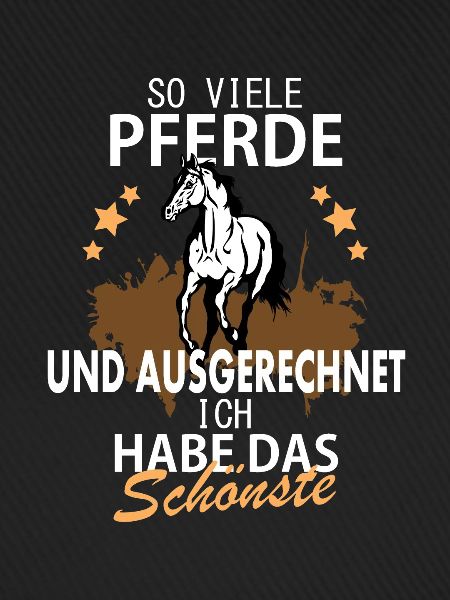 Pferde Spruch