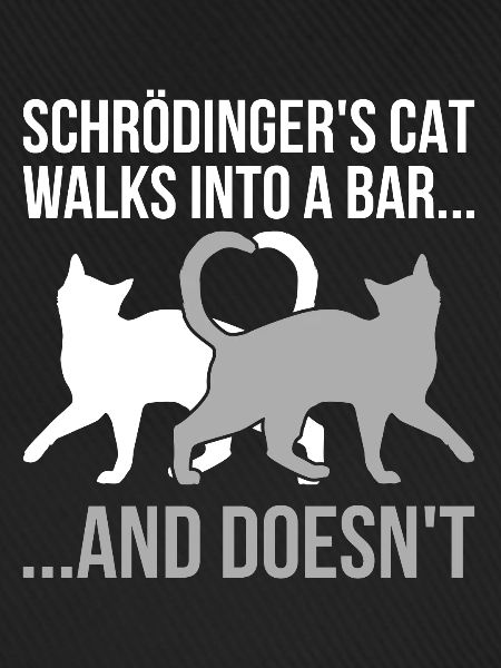 Physik Schrödinger