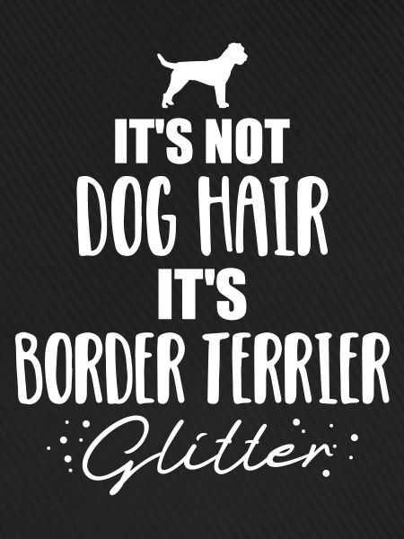 Border Terrier
