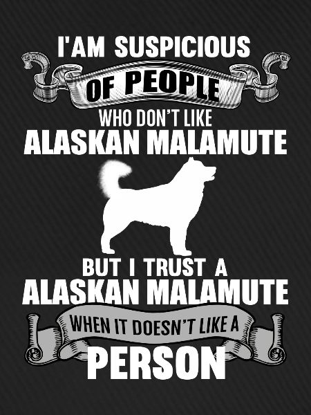 Alaskan Malamute