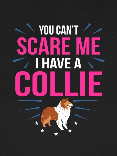 Collie