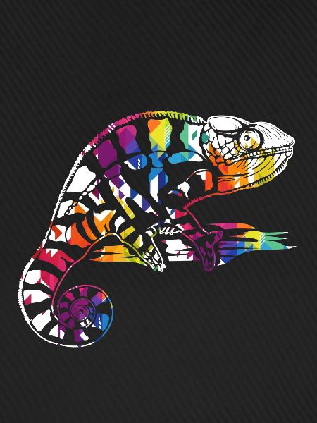 Chameleons