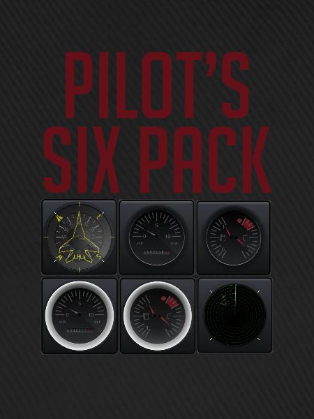 Pilot Fliegen