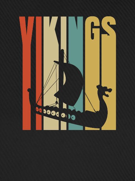 Wikinger Vikings