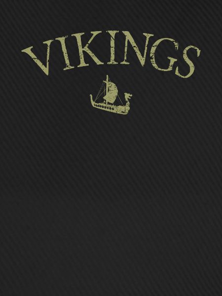 Wikinger Vikings