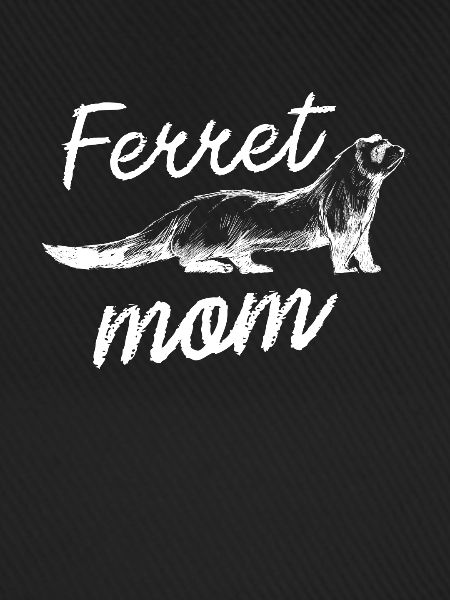 Frettchen