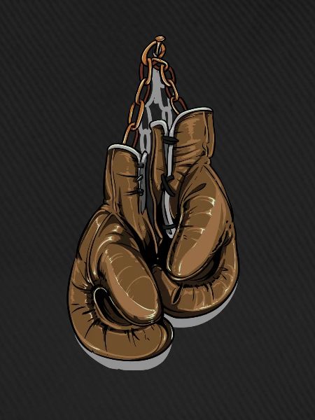 boxsport boxhandschuh