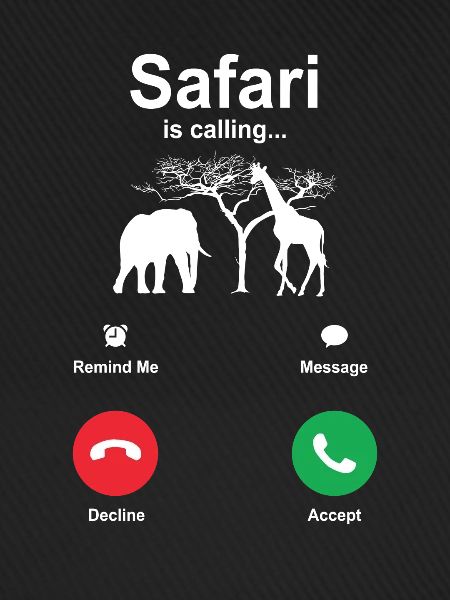 Safari