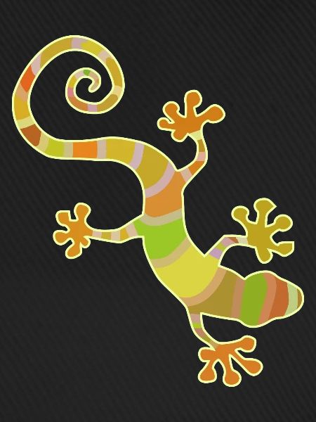 farbiger Gecko