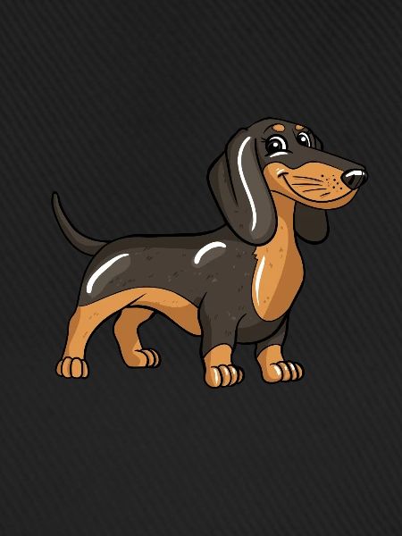 Dackel Hund