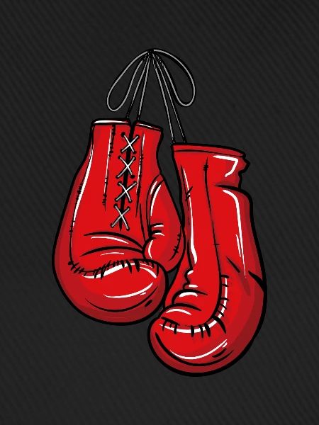 Boxhandschuhe