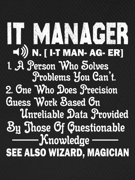 IT Manager IT Manager Definition