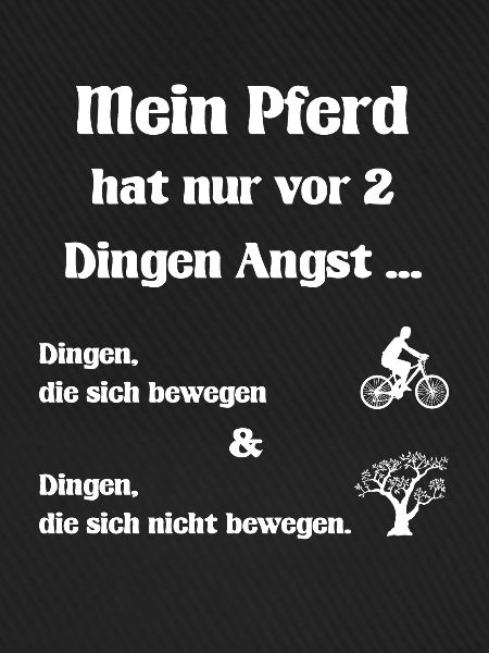 Pferd Angst I Pferdespruch Geschenk