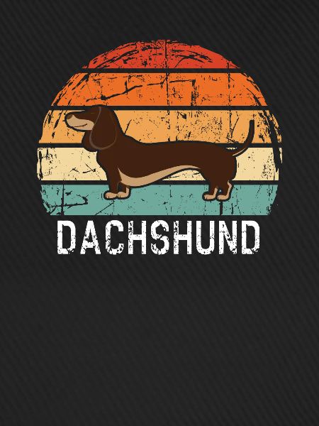 Dackel Dachshund