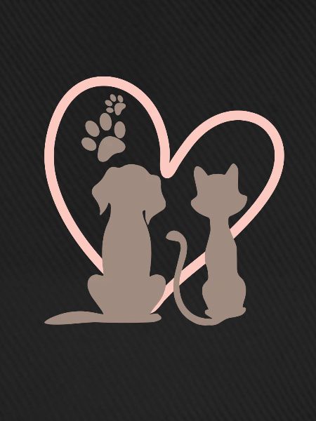 Hund und Katze