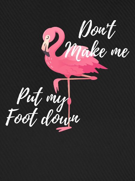 Flamingos Flamingo