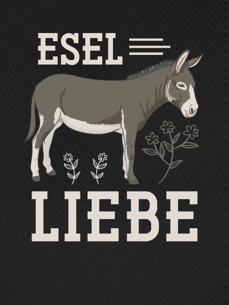 Esel Pferd Landei