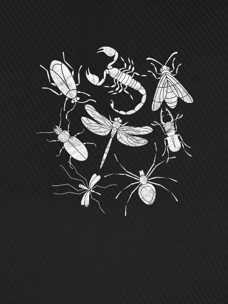 Insekten