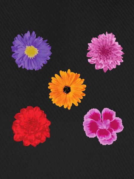 Blumen Motiv Set