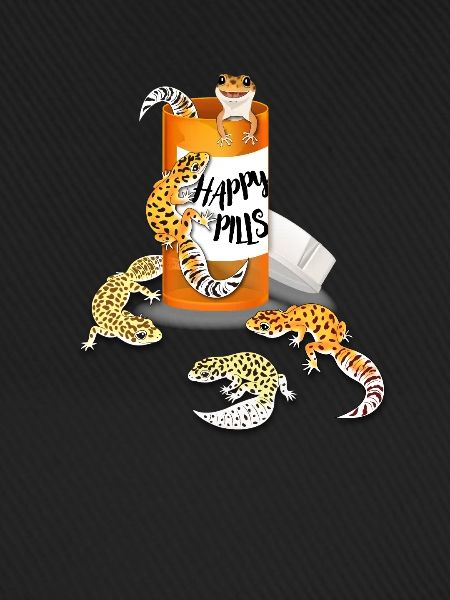 Leopardgecko