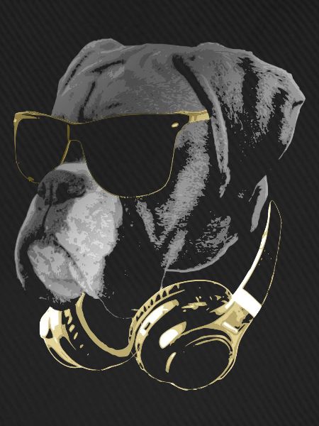 DJ BoxerHund Bling