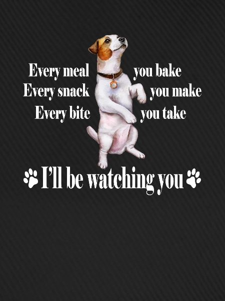 Jack Russell