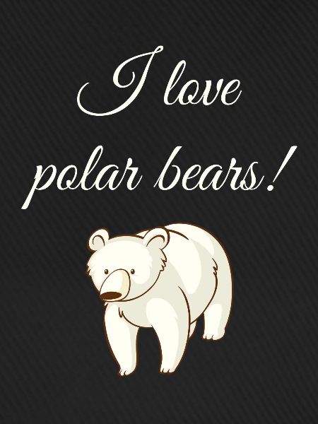 Eisbär Eisbären