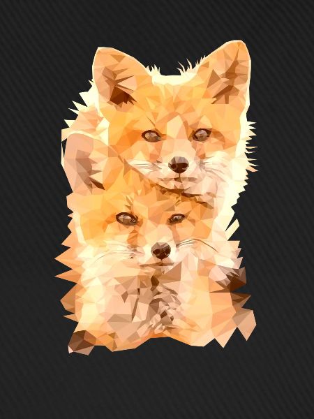 Fuchs Polygon Art