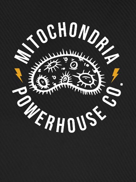 Mitochondrien Kraftwerk Geschenk