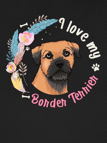 Border Terrier