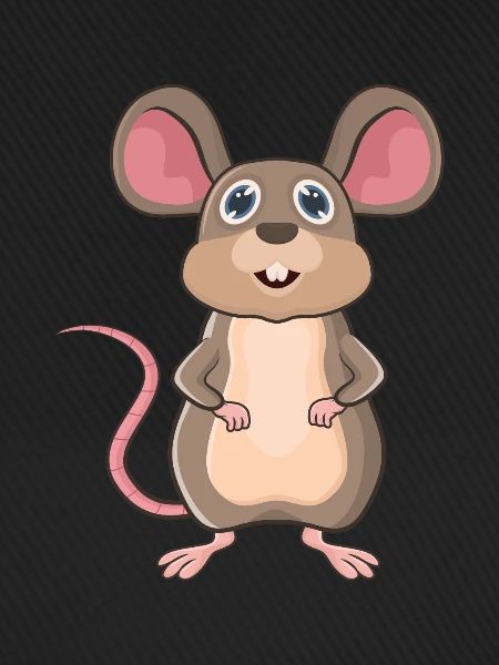Maus