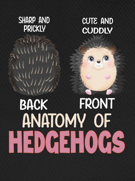 Anatomie des Igel