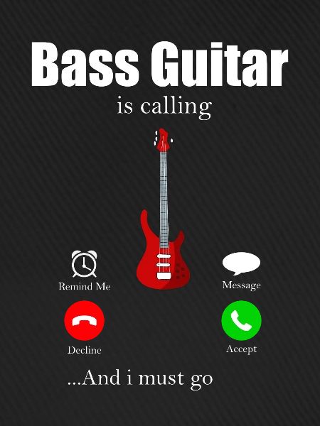 Bassist