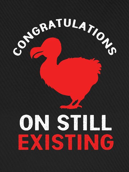 Dodo