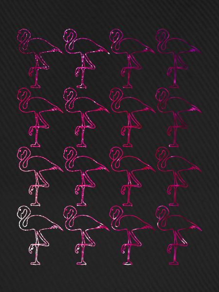 Flamingos Flamingo