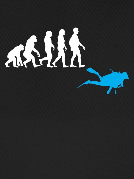Tauchen Evolution