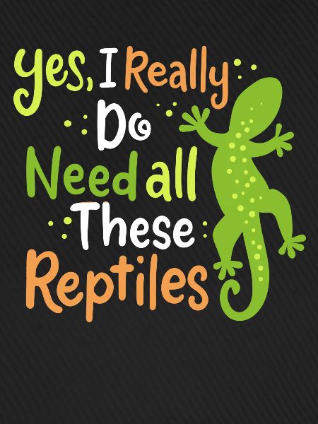 Reptil Eidechse Herpetologe