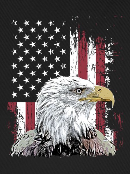 Independence Eagle American Flag Eagle