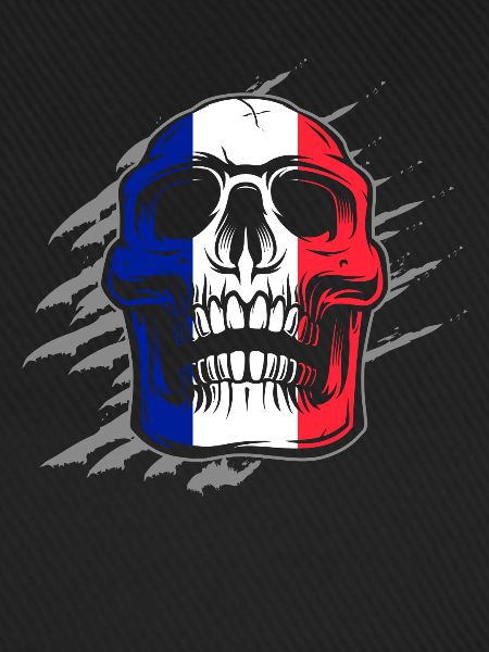 Frankreich Flagge Skull