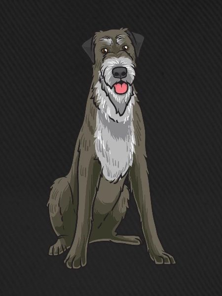 Irischer Wolfshund Hund
