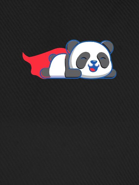 Panda Superheld