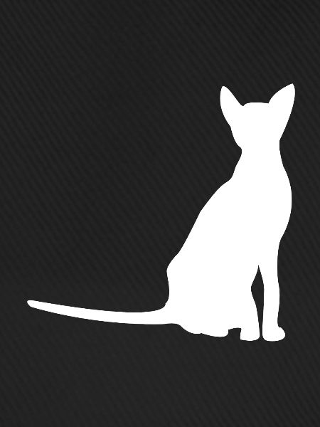 Katze Silhouette Katzen