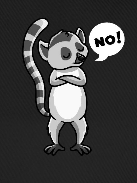 Katta Lemur Primat