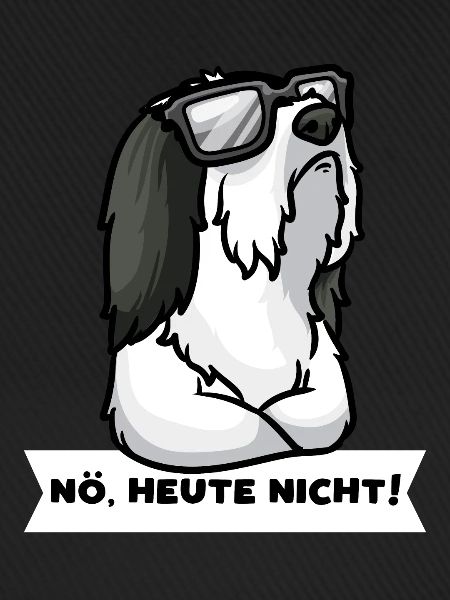 Sturer Bearded Collie Highland Collie