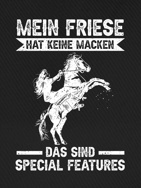 Pferd Reitstall Reiten Pferde Friese