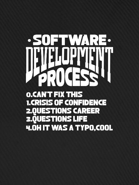 Softwareentwickler Programmierer Software