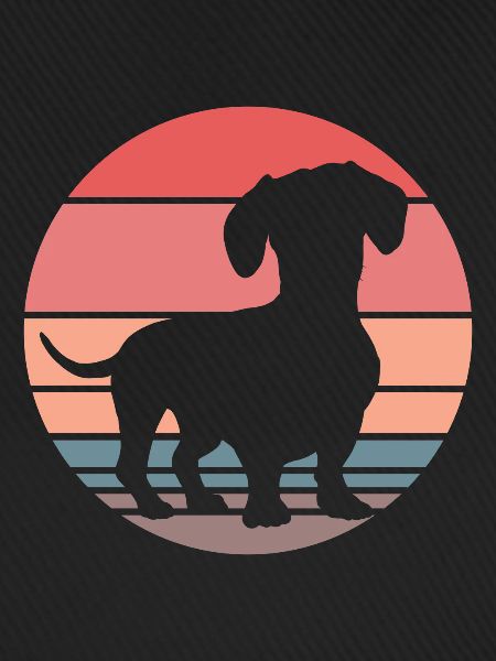 Dachshund Teckel Dackel